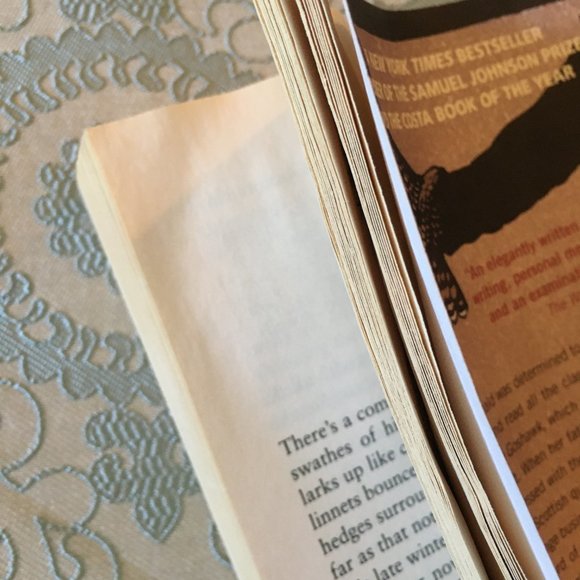 'H is For Hawk' softcover By Helen Macdonald - Picture 5 of 8